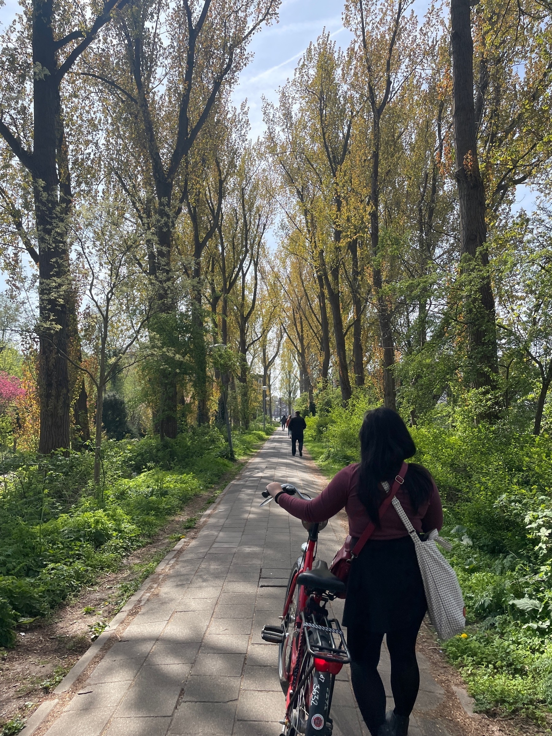 Chi is seen walking and pushing a Dutch bike to her left, while along a bike path somewhere in Amsterdam. The path continues on straight, and lots of trees can be seen lining up both sides of the bike path, providing ample shade from the sun.